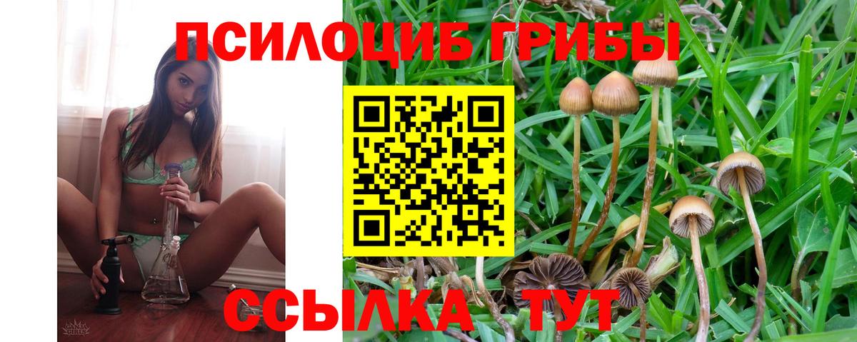 Галлюциногенные грибы MAGIC MUSHROOMS  Галлюциногенные грибы Psilocybe  Вход с VPN  Лениногорск 